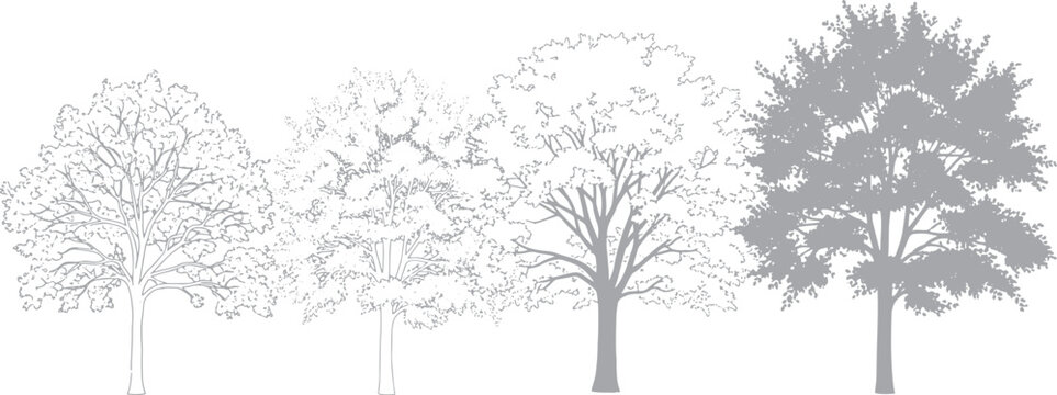 Set of architectural trees in various styles, including minimalist line art, detailed sketches, and grey silhouettes for landscape design and site plan rendering.