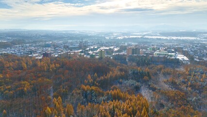 Pezgov winter forest - Czech republic
