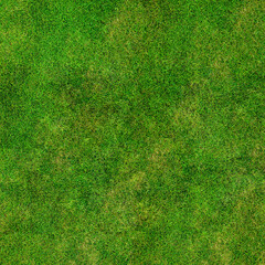 Worn Patchy Green and Brown Grass Texture