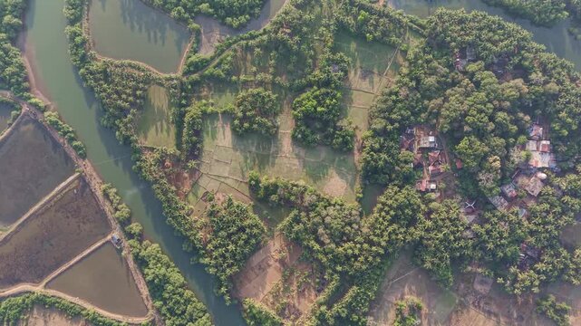 Aerial view of patchwork fields and winding river surrounded by dense tropical trees and rural homes showing natural landscape patterns in warm daylight
