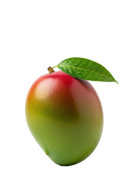 A single, flawless kent or haden mango, glossy emerald green and crimson, retaining a dewy lime-green leaf, centered on a transparent background under high-key studio light. Concept for beverage