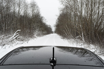 Snowy forest road, seen from the roof of the car, bare black trees line white snowy lane, wintry depth, quiet drive, monochrome calm.