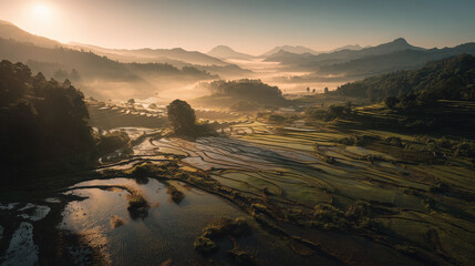 Serene rice terraces at sunrise with misty mountains