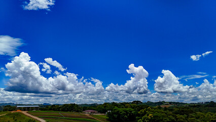 Landscape with lush green vegetation in the lower third and a dramatic contrast of clouds in the upper thirds of the sky. © Roberto