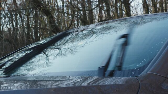 Car windshield wipers cleaning wet front glass in forest parking, close up view with squeaking rubber sound effect