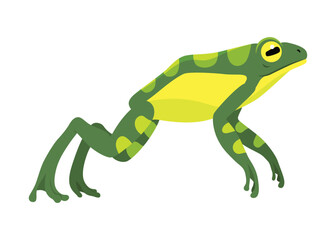 Frog jumping animation icon. Sequences or footage for motion design. Cartoon toad jumping, animal movement concept. Frog leap sequence, vector illustration