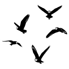 Obraz premium Group of flying black birds.