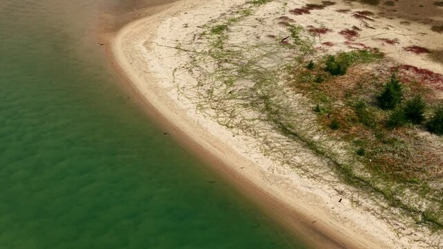 Curved shoreline of a tropical beach with clear green water and sandy terrain covered in scattered vegetation and colorful patches under soft daylight
