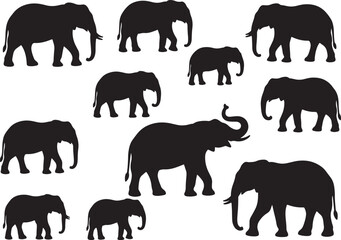 Obraz premium Black Silhouettes of Elephants in Various Poses on White Background also transparent background
