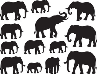 Obraz premium Black silhouette of multiple elephants in various poses on a white background with transparent background also transparent background