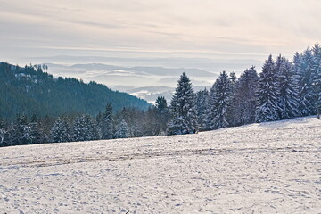 Polish mountains (Góry Sowie) covered by the snow  © Jakub