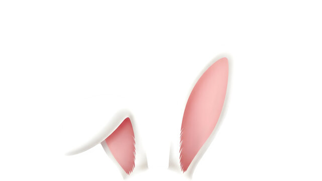 Isolated white bunny ears on transparent background for easter decoration
