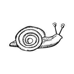 snail on a white background sketch © Yahor Shylau 
