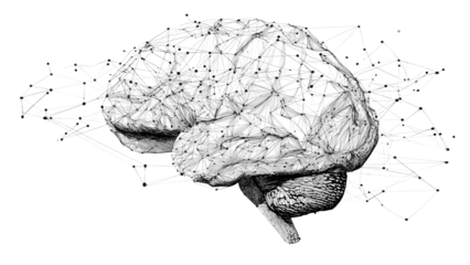 Digital Brain Network Concept