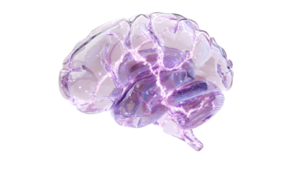 Glass Brain with Glowing Synapses