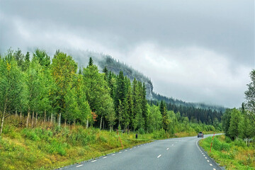 Lapland road winding through misty northern wilderness