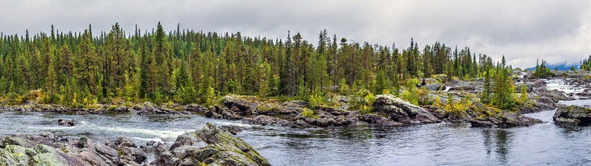 Lapland landscape featuring flowing river and green forest
