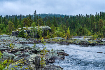 Lapland river flowing through rocky boreal forest