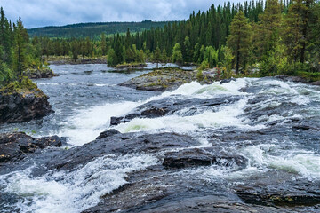 Lapland river flowing through forest and mountains