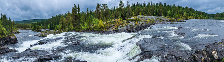 Lapland river rapids flowing through a wild forest panorama