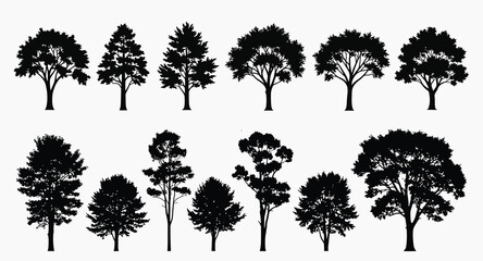 Obraz premium Collection of diverse tree silhouettes on white background