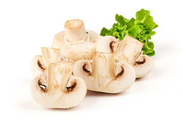 Fototapeta premium Agaricus bisporus Mushrooms with Lettuce, isolated on white background