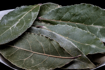 Beautiful and simple still life of dried bay leaves