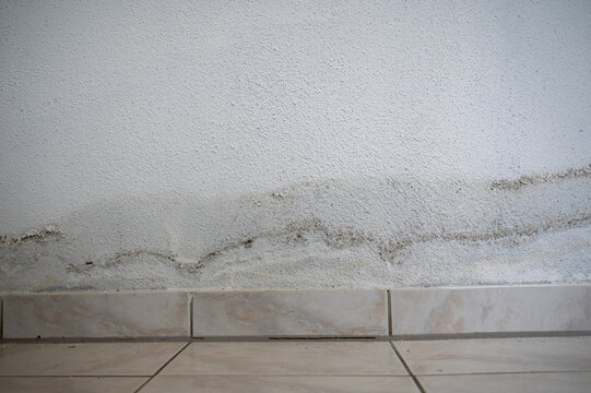 Damaged damp house wall with damp patches after a water pipe burst