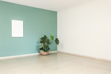 Monstera plant and painting on mint wall in big room