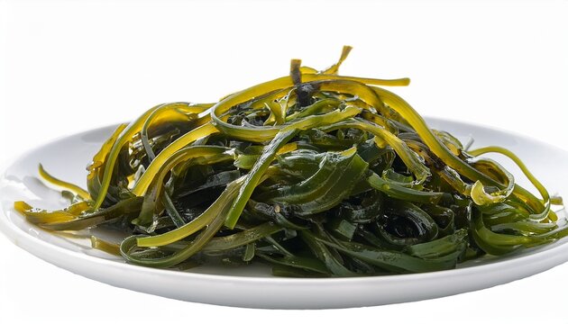 Isolated Laminaria Spirulina Fucus Litotamnia Seaweed White Background
