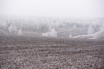 Frost-covered trees and a plowed field