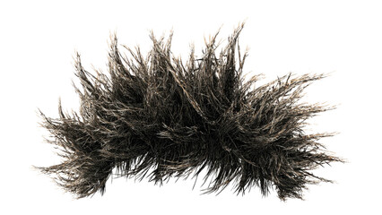 Obraz premium Abstract clump of silver grass