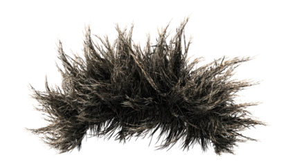 Abstract clump of silver grass