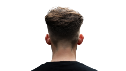 Man's Head and Hair, Back View