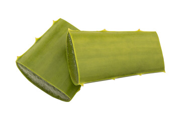 Fresh green stack of aloe vera sliced isolated on transparent background