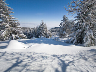 Winter Landscape of Vitosha Mountain, Bulgaria
