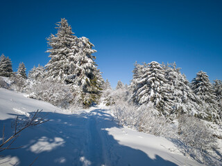 Winter Landscape of Vitosha Mountain, Bulgaria