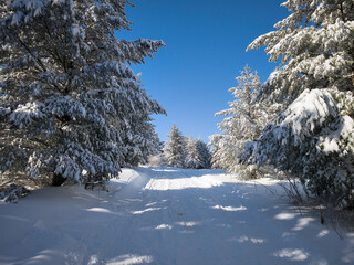 Winter Landscape of Vitosha Mountain, Bulgaria