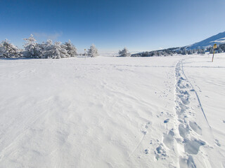 Winter Landscape of Vitosha Mountain, Bulgaria