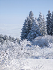 Winter Landscape of Vitosha Mountain, Bulgaria