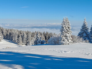 Winter Landscape of Vitosha Mountain, Bulgaria