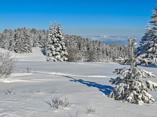 Winter Landscape of Vitosha Mountain, Bulgaria