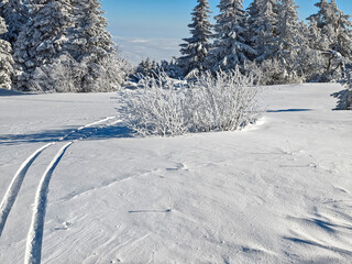 Winter Landscape of Vitosha Mountain, Bulgaria