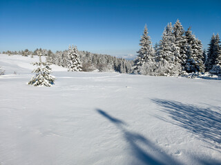 Winter Landscape of Vitosha Mountain, Bulgaria