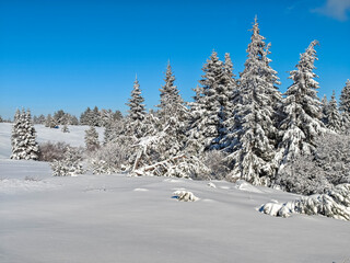 Winter Landscape of Vitosha Mountain, Bulgaria
