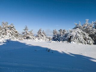 Winter Landscape of Vitosha Mountain, Bulgaria