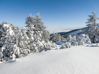 Winter Landscape of Vitosha Mountain, Bulgaria