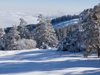 Winter Landscape of Vitosha Mountain, Bulgaria