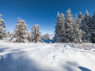 Winter Landscape of Vitosha Mountain, Bulgaria