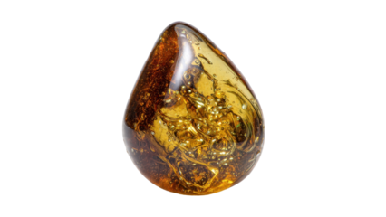 Amber specimen with inclusions